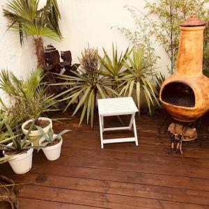 Appartements Studio with Jardin Tropical Terrasse - center city - Beach 150m : photos des chambres
