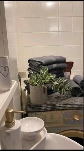 Little white on the west coast