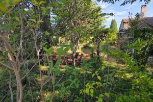 Maisons de vacances Charmante maison provencale : photos des chambres