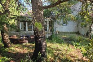 Maisons de vacances Charmante maison provencale : photos des chambres