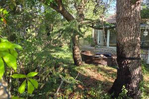 Maisons de vacances Charmante maison provencale : photos des chambres