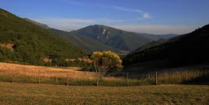 APPARTAMENTI Vista del Mondo
