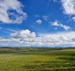 Moorhead Country Holidays