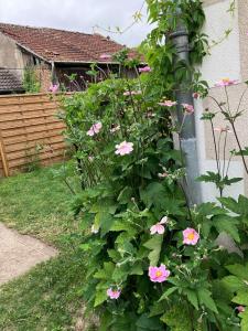 Maisons de vacances Rural House near Sancerre 2 bedrooms : photos des chambres