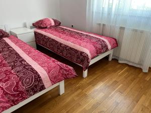Apartma DaPDa