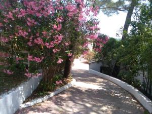 Appartements et villa BEGUDE