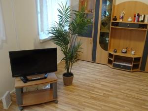 Ferienwohnungen an der Geraaue