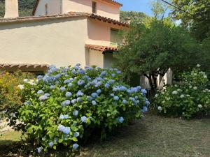 Maisons de vacances Les Cedres : photos des chambres