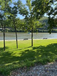 Vega Resort Restaurant & Lodge