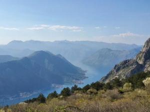 EcoHouse Risan Studio