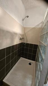 Maisons de vacances Location de charme au coeur de la Corse - Piscine privative - calme - nature : photos des chambres