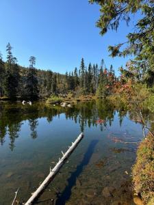 Cozy cottage in Tandådalen, Sälen, Dalarna, Sweden