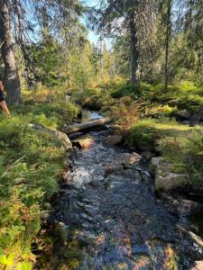 Cozy cottage in Tandådalen, Sälen, Dalarna, Sweden