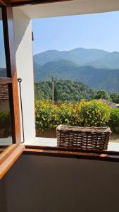 Maisons de vacances Location de charme au coeur de la Corse - Piscine privative - calme - nature : photos des chambres