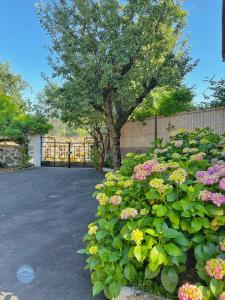 Maisons de vacances Les Glycines - Maison familiale avec jardin, entre nature et confort : photos des chambres