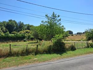 Maisons de vacances Les Volets Verts, ROUSSINES, CHARENTE, 16310 FRANCE : photos des chambres