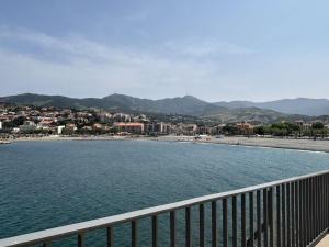 Appartements Appart studio cabine Banyuls Sur Mer BN630-002 : photos des chambres