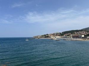 Appartements Appart studio cabine Banyuls Sur Mer BN630-002 : Studio - Vue sur Mer