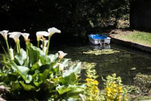 Campings Carabzh, la petite roulotte unique ! : photos des chambres