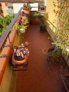vista suggestiva con ampi spazi