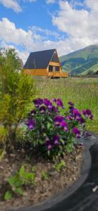 Mountain hut in Kazbegi