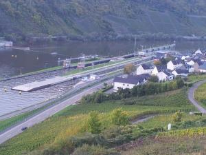 Ferienwohnung Moselpension Gwosch