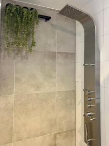 Appartements Maison Martens Villa & Appartement : photos des chambres