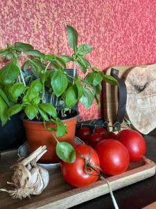 Appartements Maison Martens Villa & Appartement : photos des chambres