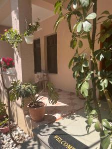 Michelles Apartments