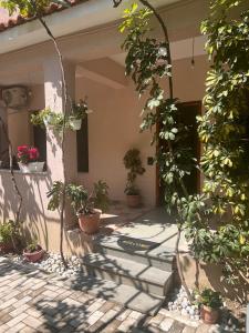 Michelles Apartments