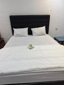 Casa kinari homestay