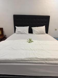 Casa kinari homestay