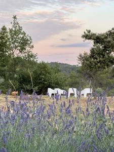 Appartements Maison Martens Villa & Appartement : photos des chambres