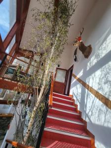 Maisons d'hotes Auberge La Cascade : photos des chambres