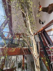 Maisons d'hotes Auberge La Cascade : photos des chambres