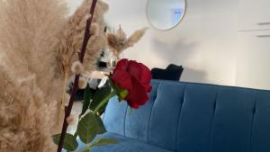 Appartements Le Cosy Elegant : photos des chambres