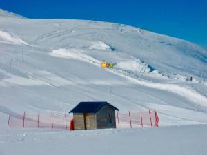 Appartements Gite le Renne : Appartement Supérieur 1 Chambre