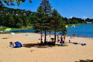 Appartements Gite le Renne : photos des chambres