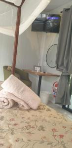 Kruger Allo B&B