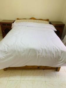 新开罗富人区rehab华人名宿