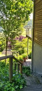 Romantic and Cosy Studio with Lake View in Meerfeld Eifel Region