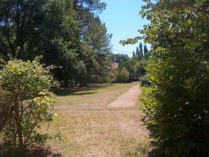 Maisonnette dans parc de 4 ha