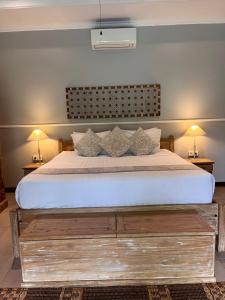 Badra House Bougainvillea