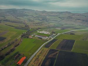 Sólyom Major - Gut Falkenhof