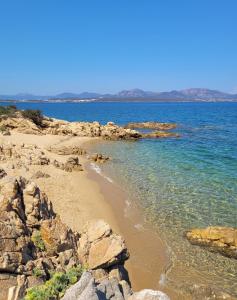 MARINE CALL apartment with a terrace overlooking the sea