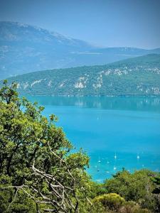 Appartements Maison Martens Villa & Appartement : photos des chambres