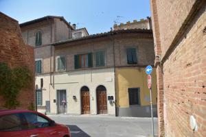 Olivo San Miniato