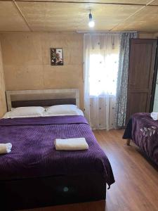 Guest House Old Omalo