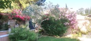 Villas Villa jardin exceptionnel,piscine privee,climatise : photos des chambres