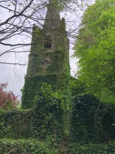 The Stables Studio Apartment